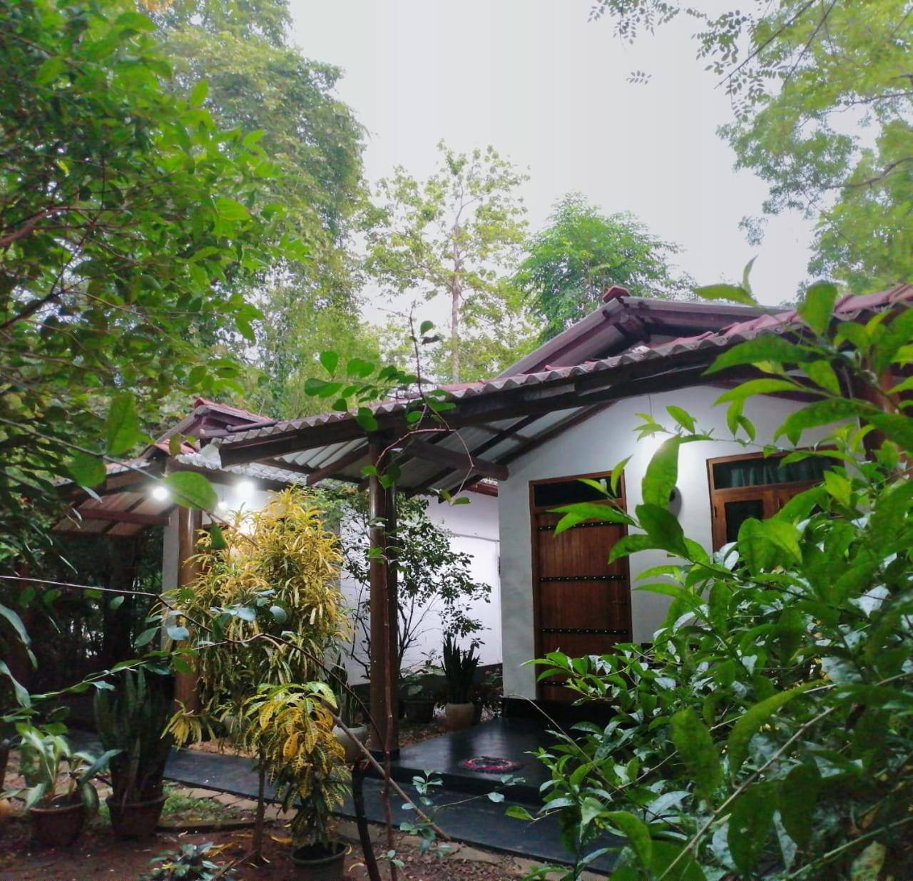 Bright Sun Safari Hotel Udawalawe Luaran gambar
